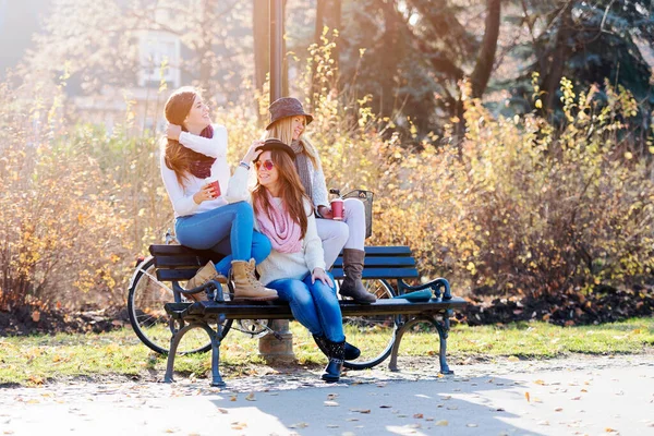 公園のベンチで笑顔の大学生の女の子のグループ — ストック写真