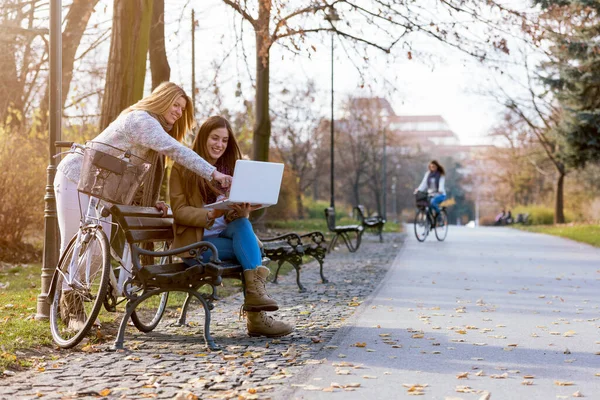 Gruppe Lächelnder College Mädchen Auf Parkbank Die Laptop Arbeiten — Stockfoto