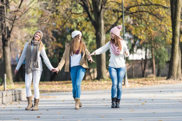 公園を歩いている笑顔の大学生の女の子のグループ — ストック写真