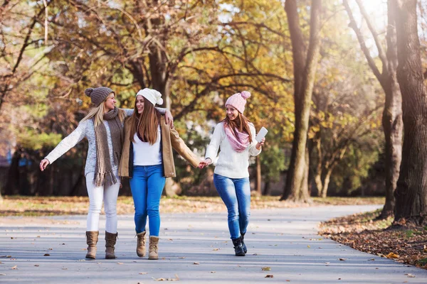 Gruppo Ragazze Del College Sorridenti Che Camminano Nel Parco Amicizia — Foto Stock