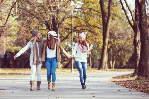 公園を歩いている笑顔の大学生の女の子のグループ — ストック写真