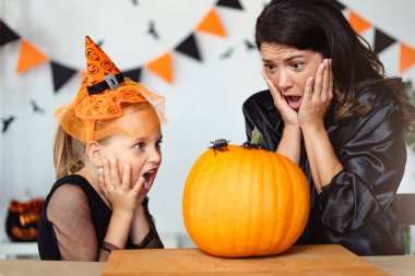 Anne ve kızı balkabağı üzerindeki örümcekten korkarlar.