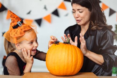 Anne ve kızı balkabağı üzerindeki örümcekten korkarlar.
