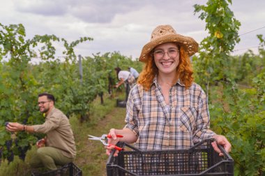 Gülen kadın hasır şapka takıyor, üzüm topluyor açık havada.
