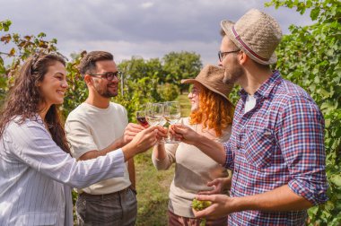 Dört arkadaş yeşil üzüm bağlarının arasında şarap tadıyor.