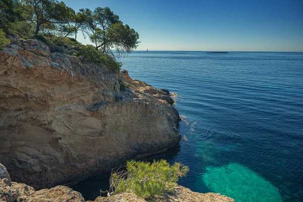 西班牙地中海的阿里岛 马略卡岛的小海湾 — 图库照片