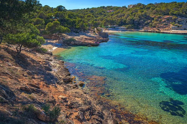 Mallorca Island Akdeniz Spanya Balear Adaları Portalları Vells Koy — Stok fotoğraf