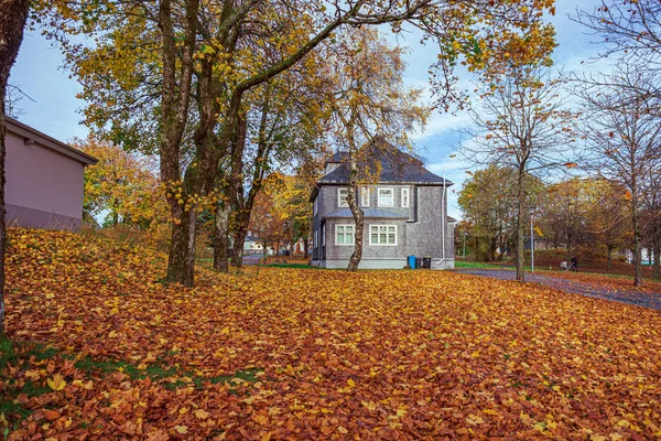 Masserberg Thuringia Germany Circa October 2022 Masserberg Town Autumnal Mood — Stock Photo, Image