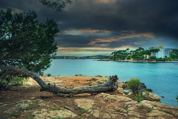 Mallorca Sahil Adası Akdeniz Spanya Balear Adaları — Stok fotoğraf