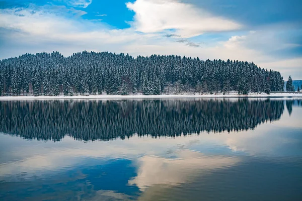 Зимний Лес Озеро Рано Утром — стоковое фото