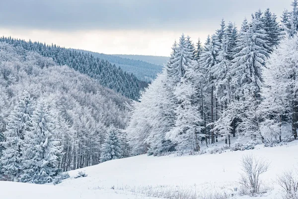 Vinterlandskap Nära Masserberg Thüringen Tyskland — Stockfoto