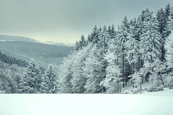 Зимний Пейзаж Возле Массерберга Тюрингии Германия — стоковое фото