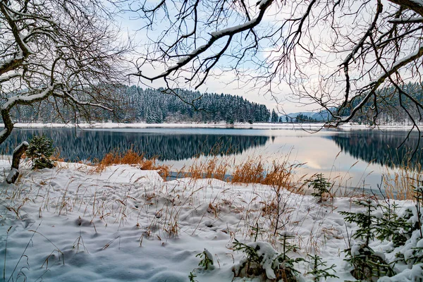 Forêt Hivernale Lac Tôt Matin — Photo