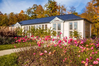 COBURG, GERMANY - CIRCA ECTOBER, 2022: Rosenau Sarayı ve Park Sonbaharda, Coburg, Almanya