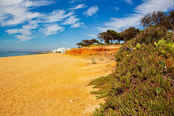 Costa Del Algarve Sur Portugal Cerca Quarteira — Foto de Stock