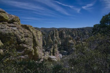 Chiricahua Ulusal Anıtı 'ndaki Yankı Kanyonu Yolu _ 0252