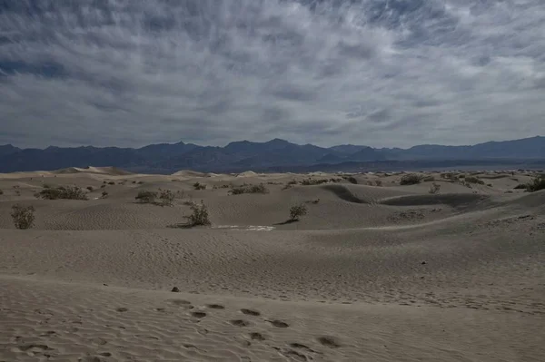 Dunes Sable Plat Mesquite Dans Parc National Vallée Mort 0554 — Photo