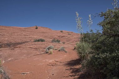 Utah 'taki Kar Kanyonu Parkı' nda taşlaşmış kum tepeleri.