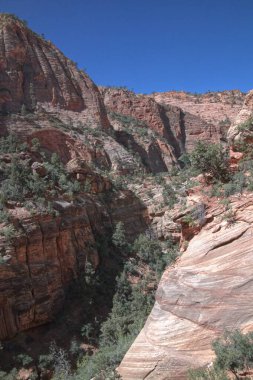 Zion Ulusal Parkı 'ndaki Kanyon' dan Pine Creek Kanyonu Manzarası
