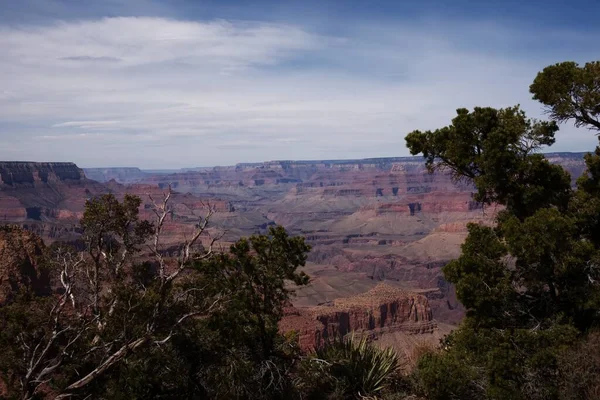 Südrand Des Grand Canyon 0553 — Stockfoto