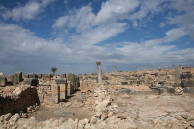 Meknes yakınlarındaki Volubilis 'te Roma Harabeleri, Fas _ 1644