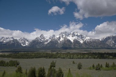 GTNP _ 2375 GTNP _ Teton Görünüm Katılımından Büyük Ton Aralığı