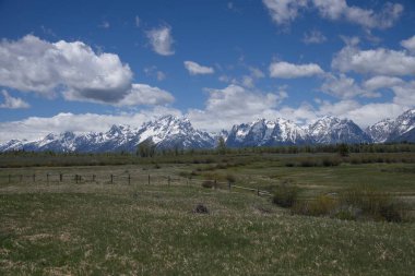 Grand Teton Ulusal Parkı 'ndaki Elk Çiftliği Düzlükleri _ 2391