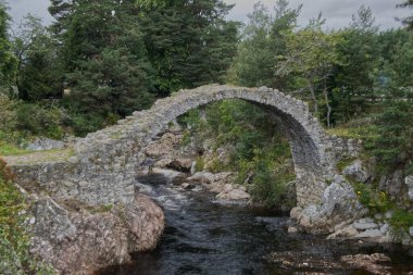 Carrbridge 'deki Old Packhorse Köprüsü, İskoçya _ 3301
