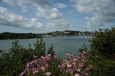 Scilly Yolu, Kinsale, İrlanda _ 3471