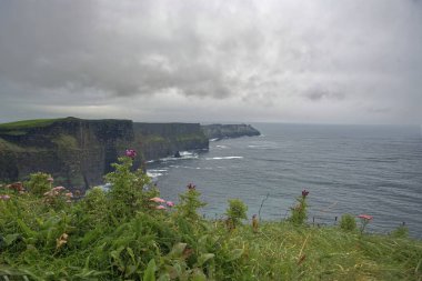 Moher Kayalıkları, İrlanda _ 3559