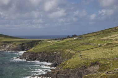 Dingle Yarımadası, İrlanda _ 3620