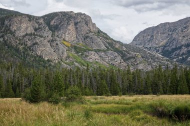 Mt. Rocky Mountain Ulusal Parkı 'ndaki Adams Falls yakınlarındaki East Meadow' a bakan Craig.