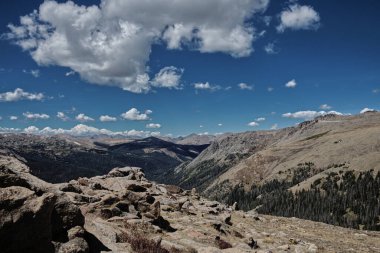 Rocky Dağı Ulusal Parkı 'nda arka planında Rocky Dağları' nın ön sıradağları olan Orman Kanyonu _ 4494