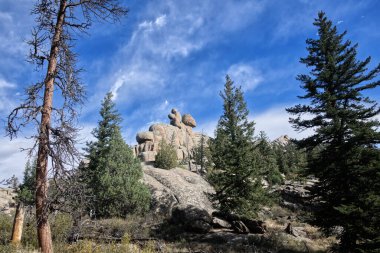 Rocky Dağı Ulusal Parkı 'nın hemen dışındaki Kara Kanyon Yolu' nda kaya oluşumu _ 4560