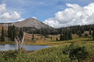 Güney Wyoming 'in Karlı Dağları' ndaki Bellamy Gölü _ 4617