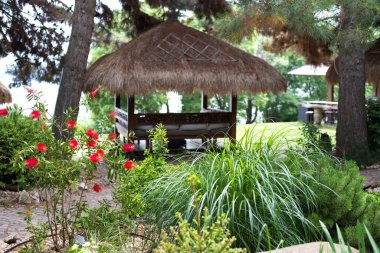 Bahçenin dışında bir çardağı, ağaçları, çalıları ve çiçekleri var. Seçici odak.