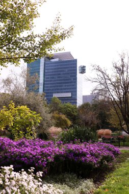 Donaupark 'tan Viyana görünümü - dikey yönelim