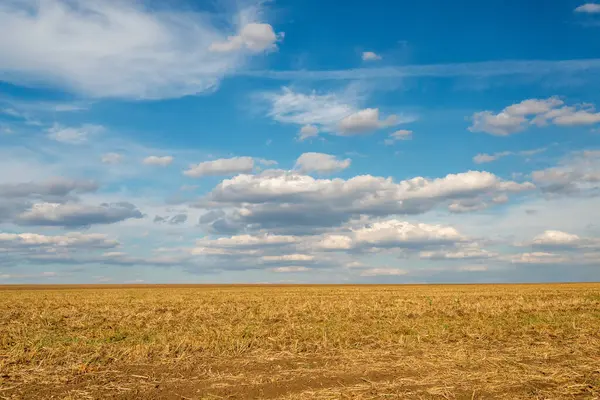 Mavi gökyüzü ve beyaz bulutların arka planında hasat edilen alan.