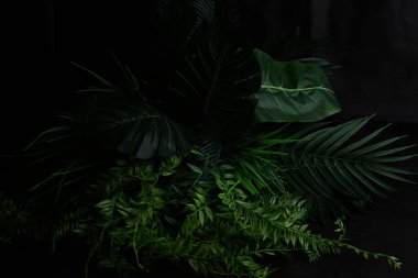 Karanlık arka planda tropikal yapraklar çalılığı. Kopya alanı olan yapay plastik kumaş gerçekçi bitkiler.