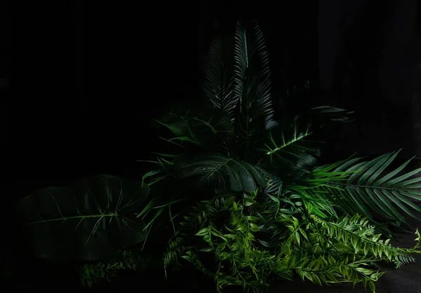 Кущ Тропічного Листя Темному Тлі Штучна Пластикова Тканина Реалістичні Рослини — стокове фото
