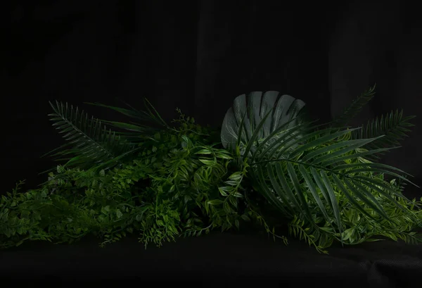 Кущ Тропічного Листя Темному Тлі Штучна Пластикова Тканина Реалістичні Рослини — стокове фото