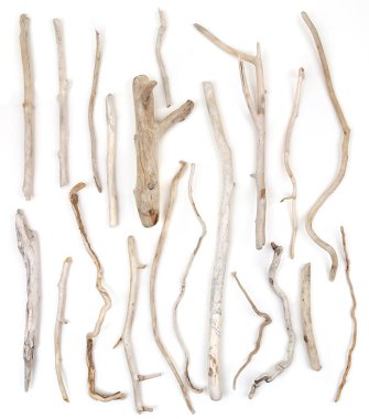 Set of sea driftwood branches isolated on white background. Bleached dry aged drift wood.