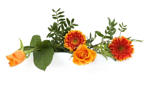 Border of Gerberas and Roses isolated on white background. Arrangement of orange flowers and leaves.