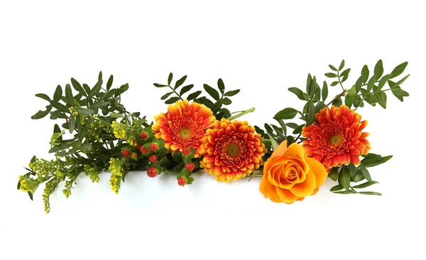 Okraj Gerber Růží Izolované Bílém Pozadí Uspořádání Oranžových Květin Listů — Stock fotografie