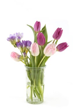 Tulip ve Freesia 'nın çiçekleri beyaz arka planda izole vazoda. Mor pembe bahar çiçekleri..