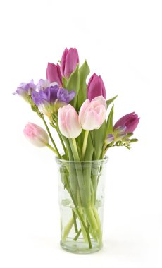 Tulip ve Freesia 'nın çiçekleri beyaz arka planda izole vazoda. Mor pembe bahar çiçekleri..