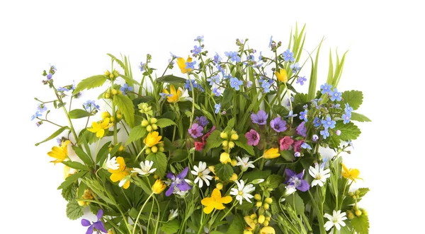 Jarní Květiny Větší Škraloup Žlutý Archanděl Zapomeňte Žlutá Sasanka Lungwort — Stock fotografie