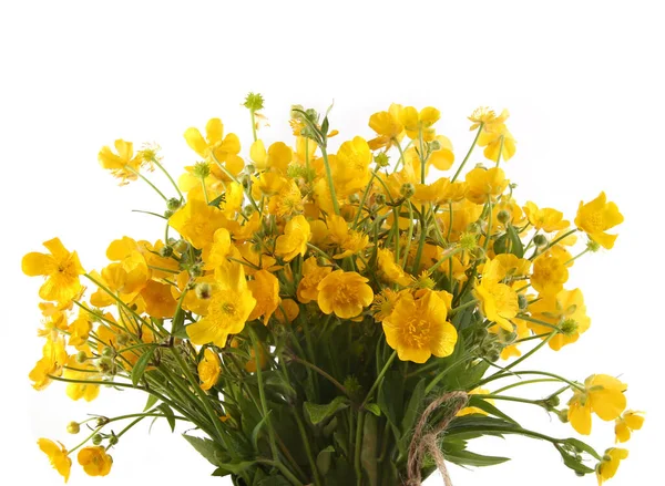 Beyaz arka planda izole edilmiş sarı şakayık çiçekleri. Bahar çiçekleri Anemonoides ranunculoides.