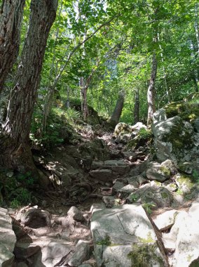 Norveç, Oslo 'daki Kolsastoppen dağının zirvesine giden yürüyüş yolunda basamaklar..