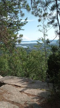 Dağ 'da taş yürüyüş parkuru. Kolsstoppen, Oslo, Norveç. Kolsastoppen, Oslo, Berum ve Oslo Fjord 'un muhteşem panoramik manzaralı yürüyüş alanı.
